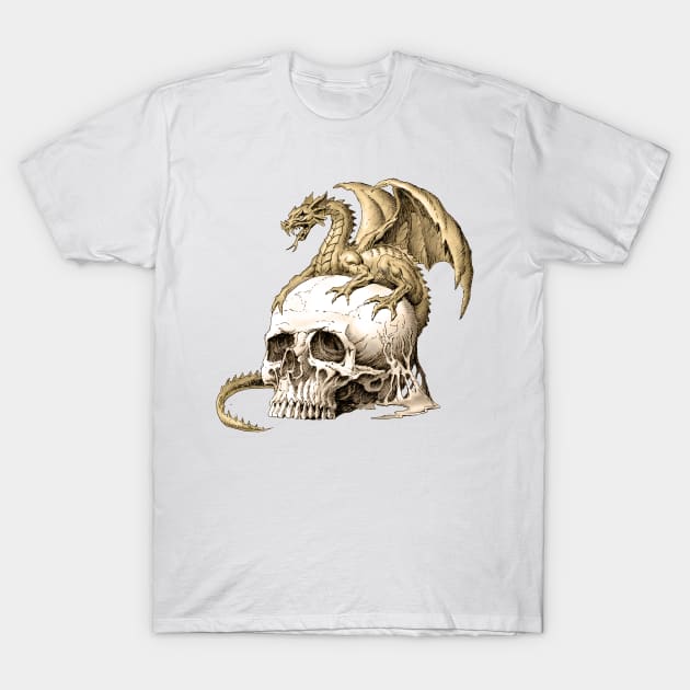 Dragon and Skull T-Shirt by Paul_Abrams